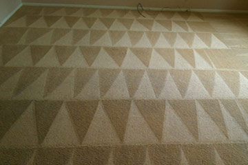 Carpet Cleaning Services After