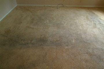 Carpet Cleaning Services Before